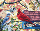 Counted Cross stitch kit  LETISTITCH L8062 Springtime Songbirds / Oiseaux chanteurs du printemps
